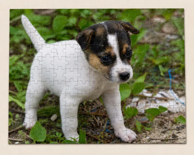 Photo Puzzle